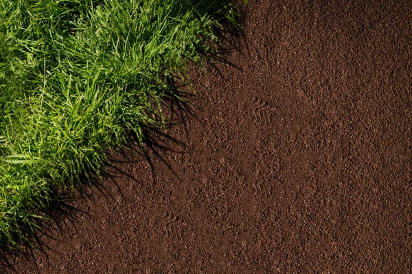 Grama Verde Contra Terra Marrom — Fotografia de Stock