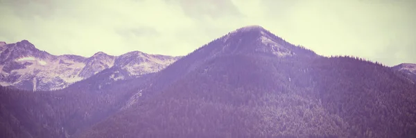 Berge Und Wald Winter — Stockfoto