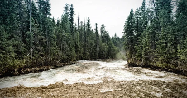 Landscape Mountain River — Stock Photo, Image