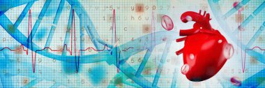 Dijital görüntü kalbin zayıf sarmal kırmızı EKG çizgiyle karşı oluşturulan