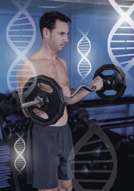 Genetik Biyoloji Sağlık arayüzü ile spor salonunda ağırlık kaldırma adam atletik dijital bileşik uygun