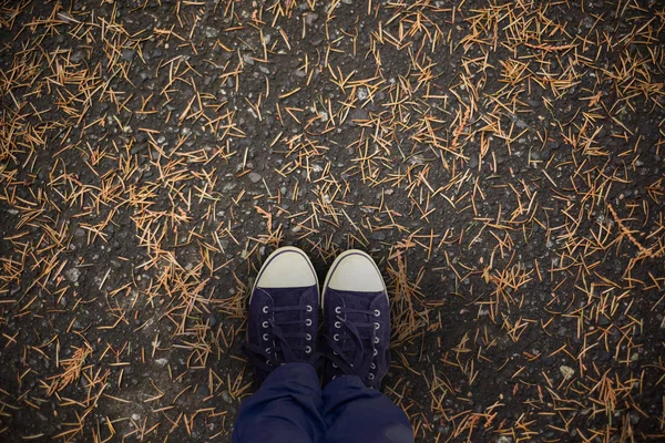 Low Section Man Standing Hardwood Floor Grass Growing Ground — Stock Photo, Image