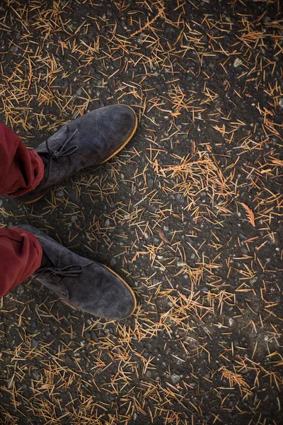 Vista Alto Ângulo Homem Usando Sapatos Contra Grama Crescendo Chão — Fotografia de Stock