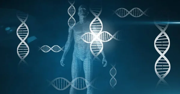 Digital composite of Human genetic science biology interface