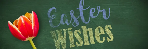 Easter Greeting Green Background — Stock Photo, Image