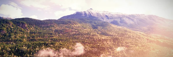 Bela Vista Encosta Montanha Coberta Com Floresta Verde Durante Inverno — Fotografia de Stock