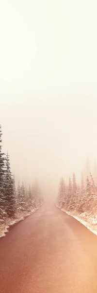 River Snow Covered Trees Both Sides Winter — Stock Photo, Image