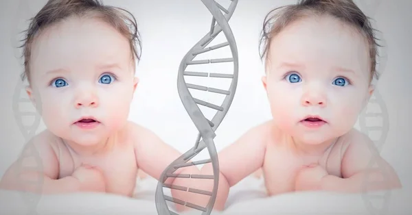 Digital composite of Baby clone twin with genetic DNA