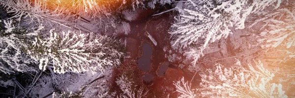 Vue Aérienne Piscine Eau Chaude Milieu Des Arbres Enneigés — Photo