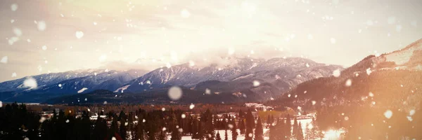 Sneeuw Vallen Tegen Coniferen Besneeuwde Landschap Met Bergen Omgeven — Stockfoto