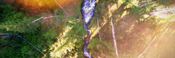 Vue Aérienne Ruisseau Qui Coule Travers Forêt Verte — Photo