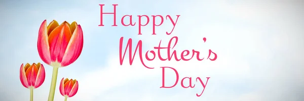 Happy Mothers Day Flowers Sky Background — Stock Photo, Image