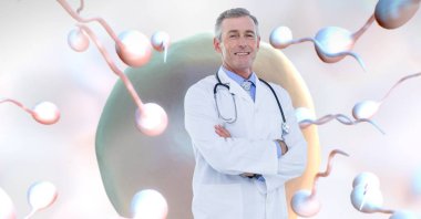 Doktor dijital bileşik sperm üreme yumurtalık aile planlaması ile