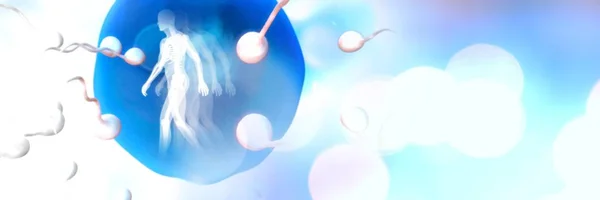 Composito Digitale Ovario Riproduzione Dello Sperma Con Umano — Foto Stock