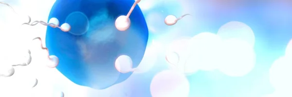 Digital Composite Sperm Reproduction Ovary — Stock Photo, Image