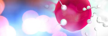 Sperm üretimi yumurtalık aile planlaması için dijital bileşik
