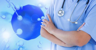 Doktor dijital bileşik sperm üreme yumurtalık aile planlaması ile