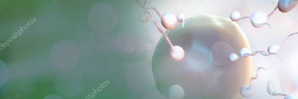Digital composite of Sperm reproduction ovary for family planning