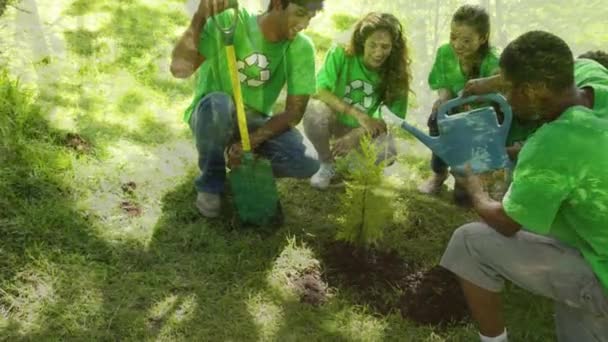 多民族朋友身穿印有回收标志的绿色T恤衫 在公园里植树浇水的动画 — 图库视频影像