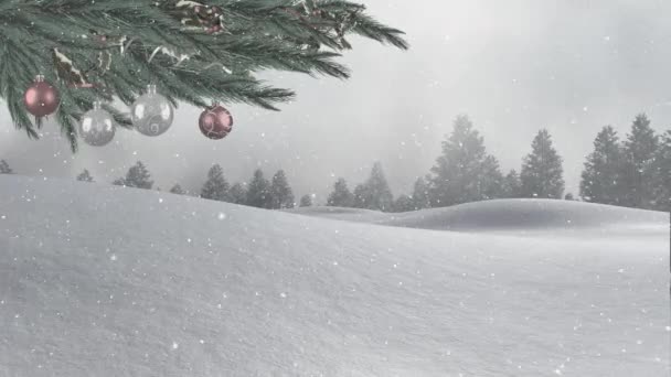 Animation of winter scenery with snow falling and Christmas tree in the background — Stock Footage Animation Winter Scenery Snow Falling Christmas Tree Background Royalty Free Stock Footage