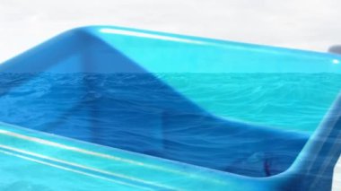 Plastik şişelerin ön planda deniz olan plastik kutuya düşüşünün animasyonu