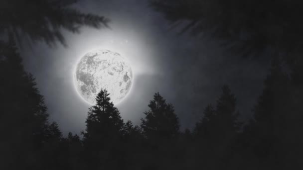 Animation Night Sky Full Moon Fir Trees Clouds Smoke — Stockvideo