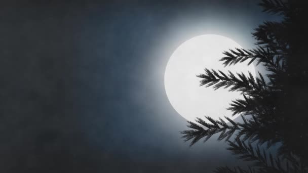 Animation Night Sky Full Moon Fir Tree Clouds Smoke — Stock Video