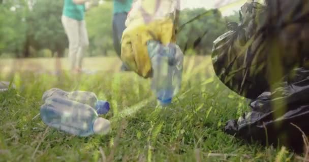 Animacja Młodego Człowieka Rasy Kaukaskiej Zbierającego Plastikowe Butelki Czarnego Worka — Wideo stockowe