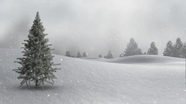 Animation Winter Scenery Snow Falling Fir Trees — Stock Video