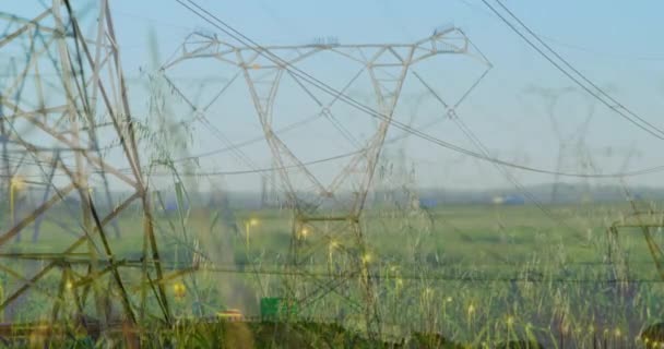 Animatie Van Het Wegverkeer Snelrijdende Landelijke Elektrische Masten Voorgrond — Stockvideo