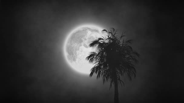 Анімація Нічного Неба Повним Місяцем Пальмою Хмарами Диму — стокове відео