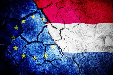 Avrupa bayrağına karşı dijital olarak üretilen ulusal bayrak