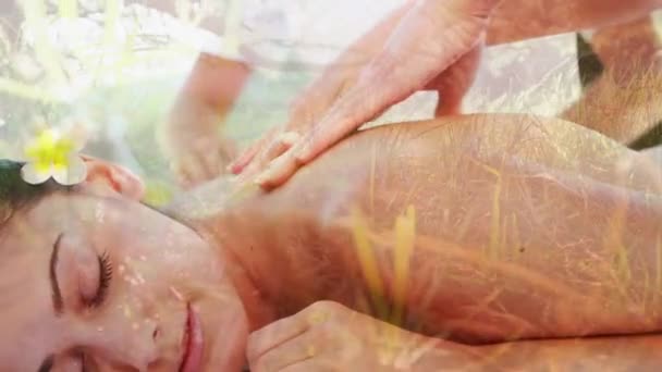 Animation Jeune Femme Souriante Métissée Ayant Massage Fait Avec Des — Video