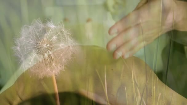 Animazione Della Donna Che Massaggio Con Fiori Che Muovono Primo — Video Stock