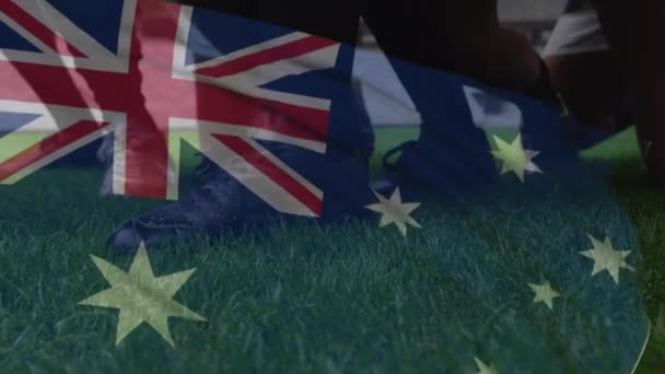 Animation Australian Flag Waving Rugby Ball Rolling Grass Sport Stadium — Stock Video