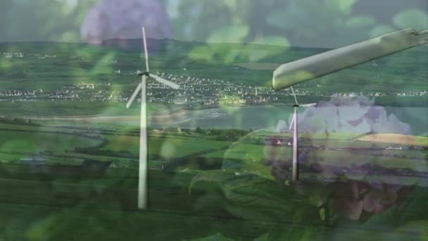 手前の花で風車を回すアニメーション — ストック動画