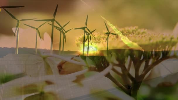 Animation Des Éoliennes Tournantes Avec Des Fleurs Premier Plan — Video