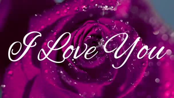 Animatie Van Woorden Love You Geschreven Het Wit Roze Roos — Stockvideo