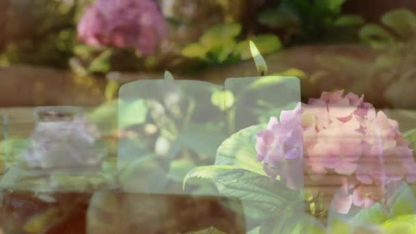앞쪽에 움직이는 꽃으로 마사지를 여성에게 미소짓는 애니메이션 — 비디오