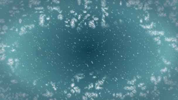 Animacja Słów Happy Holidays Napisana Niebieskimi Literami Śniegiem Padającym Mrożone — Wideo stockowe