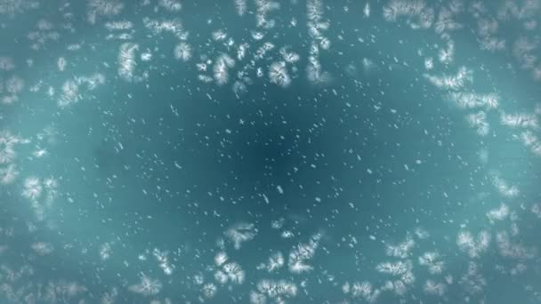 Animation Der Worte Jahreszeiten Grüße Blauen Buchstaben Geschrieben Mit Schnee — Stockvideo