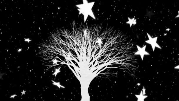 Animation Snow Stars Falling White Silhouette Tree Black Background — Stock Video