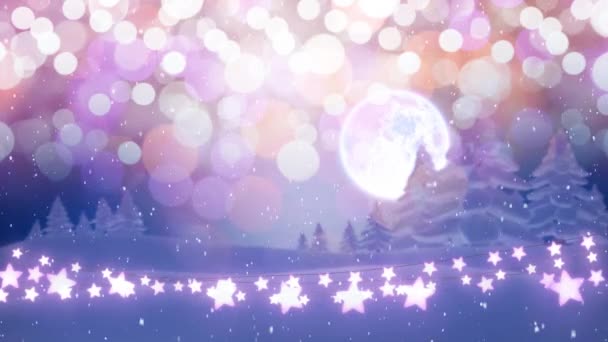 Animation Paysages Hivernaux Avec Une Chaîne Lumineuse Lumières Fées Noël — Video