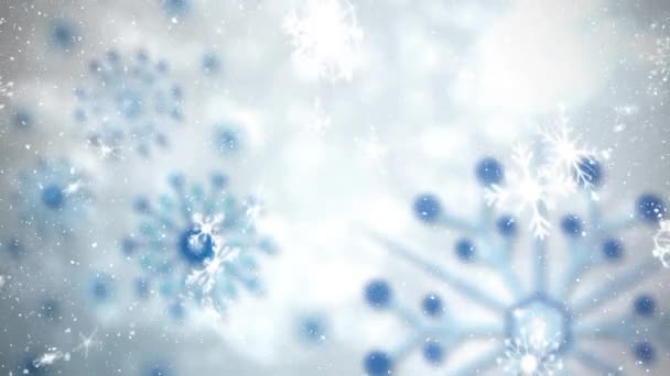 Animation Snowflakes Falling Christmas Time Defocussed Blue Snowflakes White Background — Stock Video