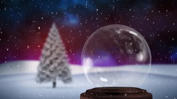 圣诞雪球 降雪和冷杉树的动画 — 图库视频影像