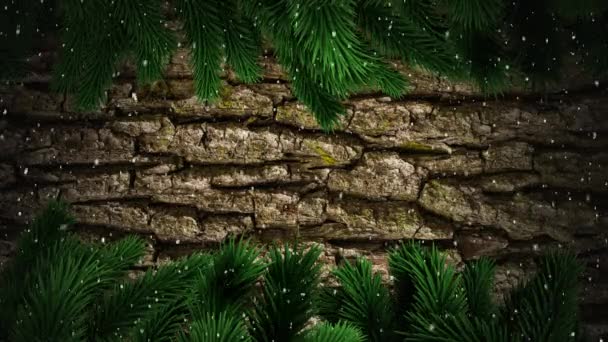 背景にはモミの木の枝や木の樹皮で落ちる雪片と冬の風景のアニメーション — ストック動画