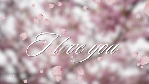 Animación Las Palabras Love You Escritas Blanco Con Pétalos Rosa — Vídeos de Stock