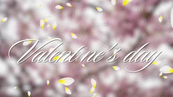 バレンタインデー という言葉のアニメーション背景に桜がぼやけた黄色と白の花弁が落ちる白で書かれた日 — ストック動画