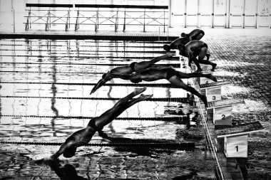 Yüzücüler havuza dalıyor