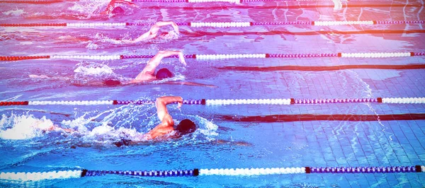 Schwimmer Schwimmen Becken — Stockfoto